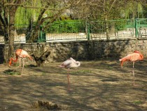 Nikolayev Zoo