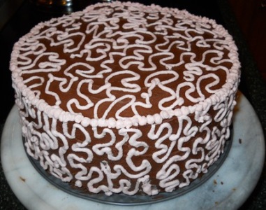 picture of chocolate chip cake