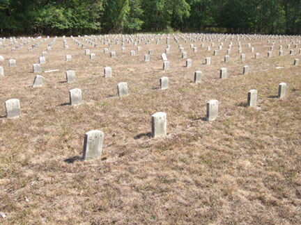 Picture of the Almshouse Cemetery called Potters Field
